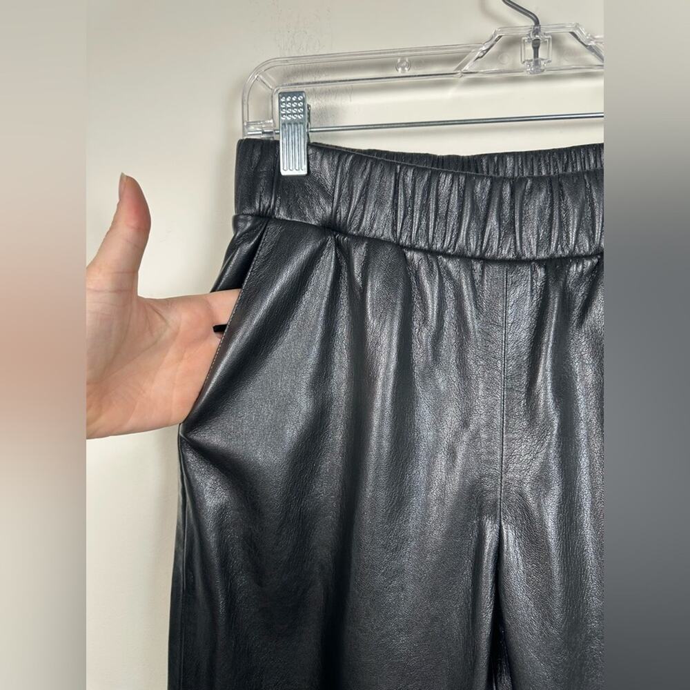 Anine Bing Colton Faux Leather Track Pants in Black Size Small EUC - Picture 4 of 7